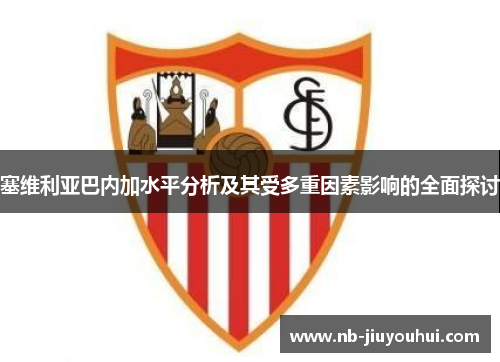 塞维利亚巴内加水平分析及其受多重因素影响的全面探讨