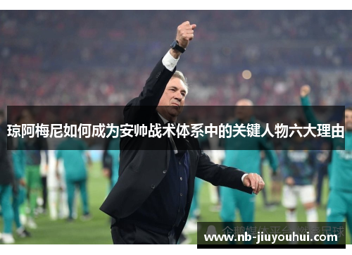 琼阿梅尼如何成为安帅战术体系中的关键人物六大理由