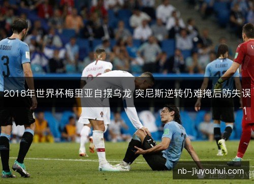 2018年世界杯梅里亚自摆乌龙 突尼斯逆转仍难掩后防失误